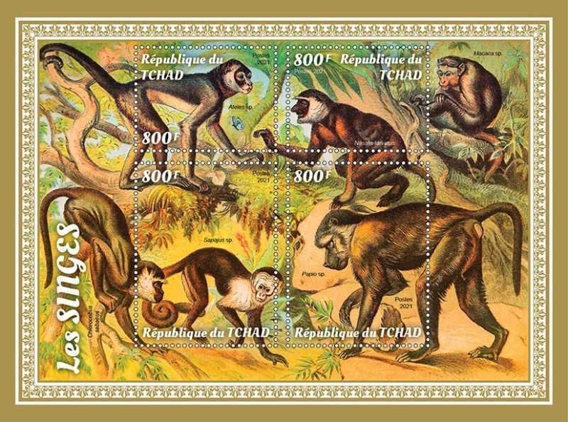 Chad - 2021 Monkeys, Proboscis, Capuchin - 4 Stamp Sheet - TCH210215a