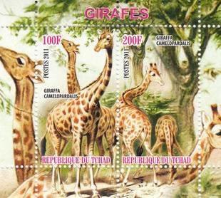 Chad 2011 Wild Animal Giraffes Nature Stamps MNH perf