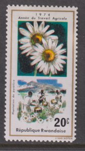 Rwanda 632 Pyrethrum 1975