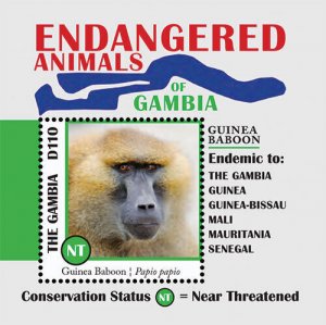 Gambia 2013 - Endangered Animals - Souvenir stamp sheet - Scott #3487 - MNH