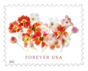 2022 Tulips  forever stamps  5 Booklets 100plp