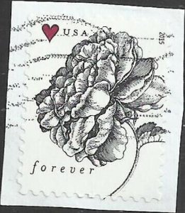# 4959 Used Vintage Rose