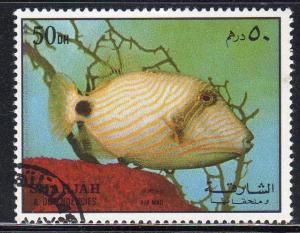 Sharjah (Unlisted) - Cto - Parrotfish ?