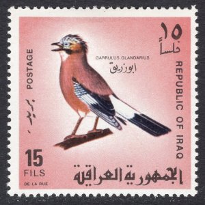 IRAQ SCOTT 465