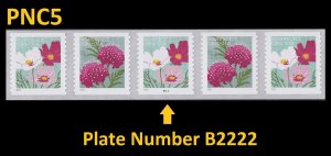 US 5665a Butterfly Garden Flowers Nonprofit 5c PNC5 B2222 MNH 2022