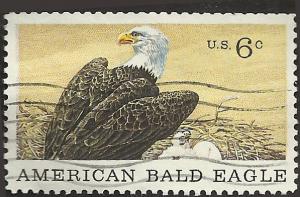# 1387 USED BALD EAGLE