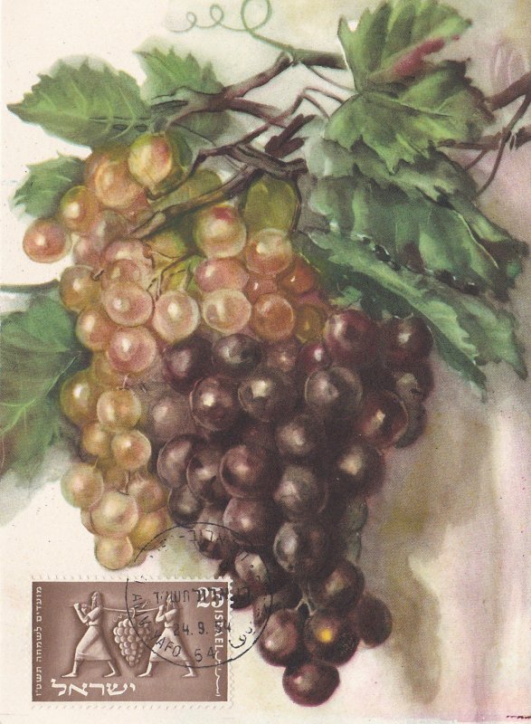 Israel # 87, Bearers with Grape Cluster, on a Maxi Card