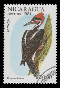 NICARAGUA  STAMP 1981. SCOTT # 1125. CTO