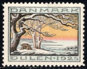 1925 Denmark Christmas Seal Winter Scenery Unused