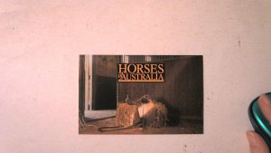AUSTRALIA PRESENTATION PACK MNH: HORSES