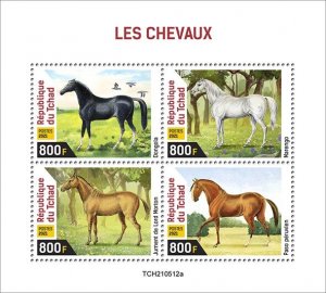CHAD - 2021 - Horses - Perf 4v Sheet - Mint Never Hinged