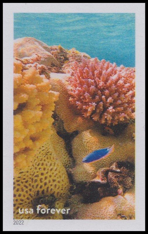 US 5713af National Marine Sanctuaries Rose Atoll imperf NDC single MNH