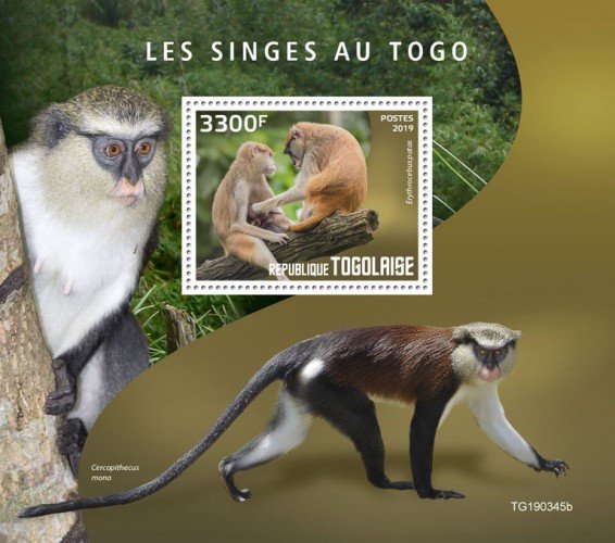 TOGO - 2019 - Monkeys in Togo - Perf Souv Sheet - MNH