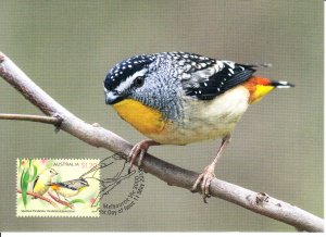 Australia 2013 Maxicard Sc #3923 $1.20 Spotted pardalote 