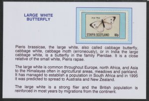 LARGE WHITE BUTTERFLY  mounted on glossy card with text