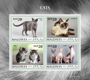 Maldives 2019 MNH Cats Stamps Russian Blue Tabby Sphynx Siamese Cat 4v M/S