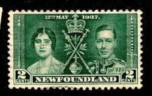 Newfoundland Stamp #230 USED VF SINGLE