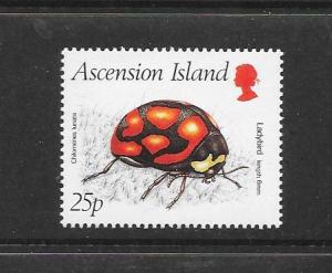 INSECTS - ASCENSION ISLAND #438 LADY BIRD  MNH