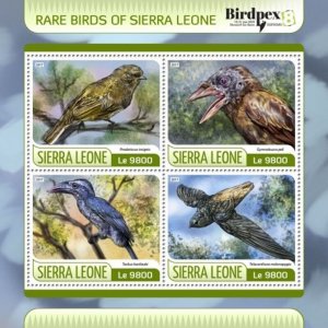 Sierra Leone - 2017 Rare Birds - 4 Stamp Sheet - SRL17620a