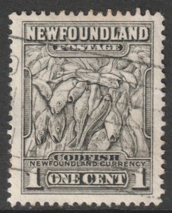 Canada Newfoundland Scott 184 - SG222, 1932 Pictorial 1c used