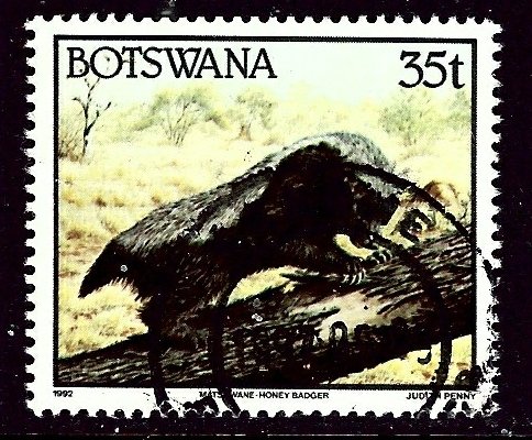 Botswana 524 Used 1992 issue    (ap4176)