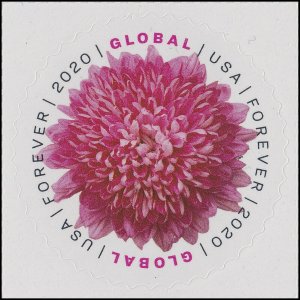 US 5460 Chrysanthemum global forever single (1 stamp) MNH 2020