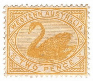 (I.B) Australia Postal : Western Australia 2d (SG 113)