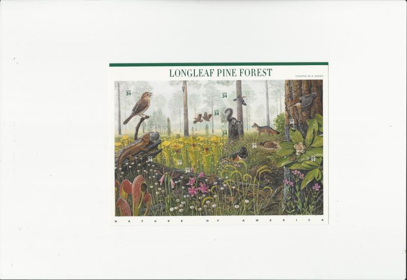 Longlefeaf Pine Forest  Scott #3611
