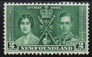 Newfoundland #230 MNH CV $2.50!