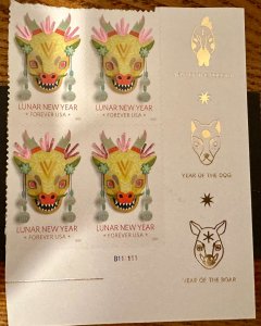 US # 5829 Year of the Dragon PB w/border design forever 2024 Mint NH