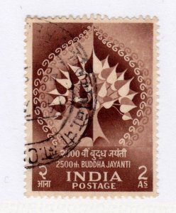 India    272      used