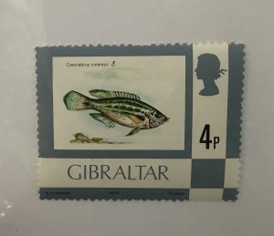 Gibraltar 1977  Scott 345 MNH - 4p,  fish, Gray wrasse