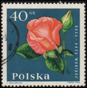 Poland 1281 - Used - 40g Rose Monique (1964)