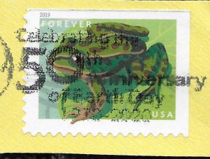 US #5396 used on piece. Frog. Nice.