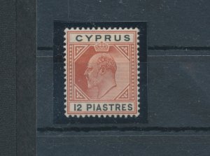 1904-10 Cipro, Stanley Gibbons #69 - 12 Chestnut and Black Plate - MH*