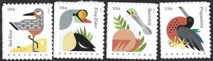 United States #4995-98 PC rate (35¢) Coastal Birds (2015).  4 coil singles. MNH