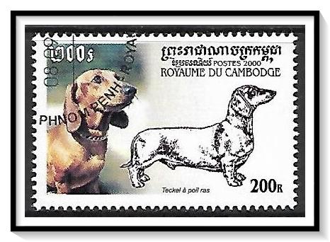 Cambodia #2017 Dogs CTO