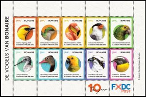 CARIBBEAN NETHERLANDS BONAIRE 2024 BIRDS OF BONAIRE OISEAUX VOGEL UCCELLO