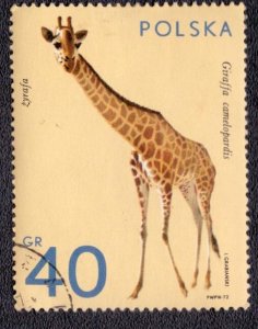 Poland - 1889 1972 Used