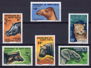 Upper Volta 1966 Mi#175/180 wart hog camel panther buffalo hippo Elephant(6)MNH