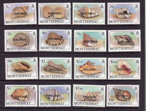 Montserrat-Sc#681-96-unused NH definitive set-Seashells-Specimen overprint