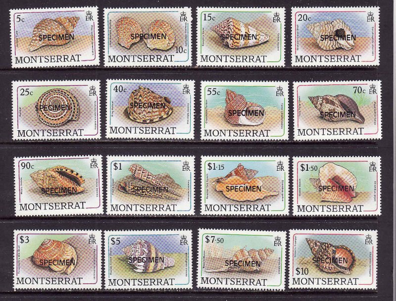 Montserrat-Sc#681-96-unused NH definitive set-Seashells-Specimen overprint