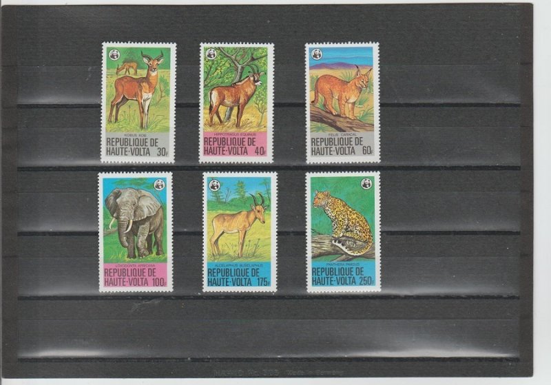 Burkina Faso  Scott#  506-511  MNH  (1979 Protected Animals)