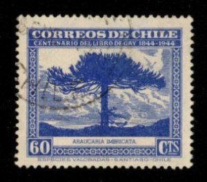 Chile #254b used