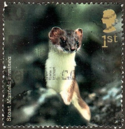 Great Britain 2234 - Used - 1st Stoat (Ermine) (2004) (cv $1.30)