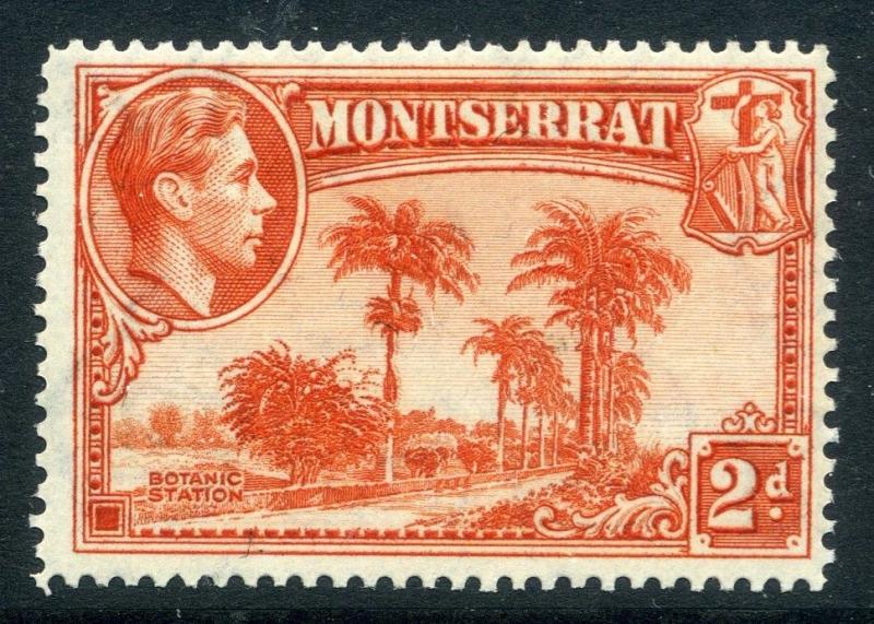 MONTSERRAT;  1938 early GVI issue fine Mint hinged Perf 14 issue, 2d. SP-245845