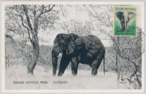 52641 - SOUTH AFRICA - MAXIMUM CARD - ANIMALS ELEPHANT 1956-