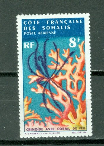 SOMALI COAST CORAL #C42...MINT...$2.40