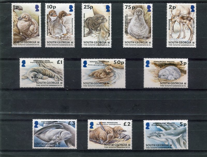 South Georgia 2004 FAUNA SEALS BIRDS PENGUINS Set (11v) Perforated Mint (NH)