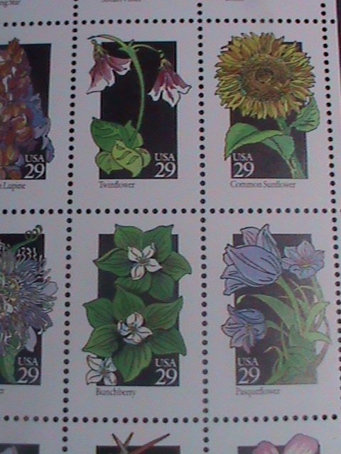 ​UNITED STATES- 1992 SC#2696a- 50 STATE WILD FLOWERS LARGE.-MNH FULL SHEET -VF